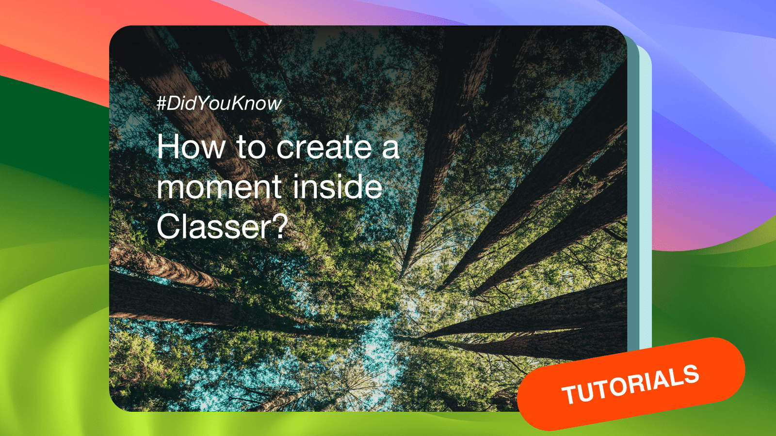 A link on how to create moments in Classer.