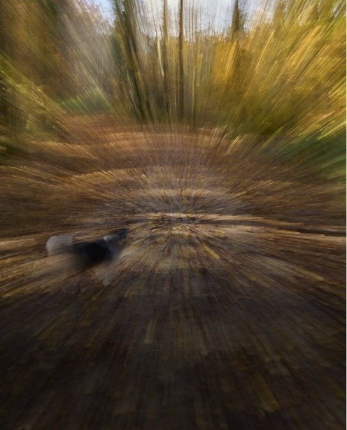 Which action cameras have GPS and telemetry in 2026. hidden